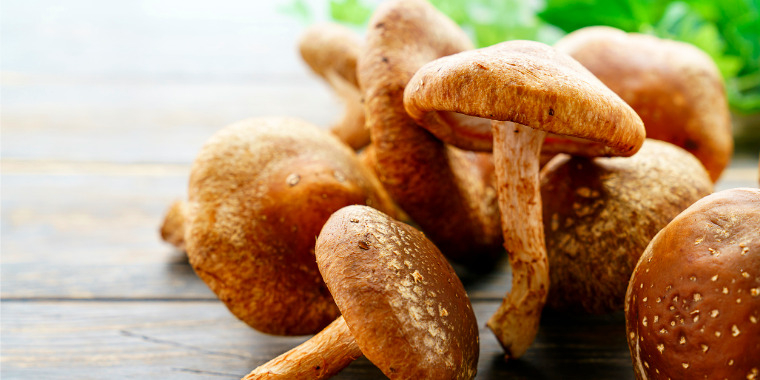 Mycothérapie - Se soigner avec les champignons médicinaux