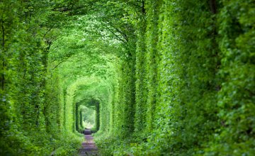 Faites-vous confiance : les vertus de l’hypnose