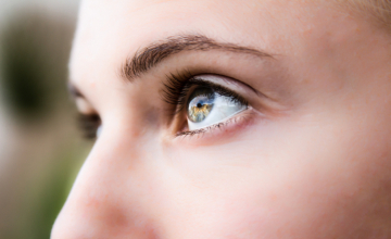 Ce que nous raconte l’œil