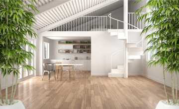 habitat-feng-shui-geobiologie