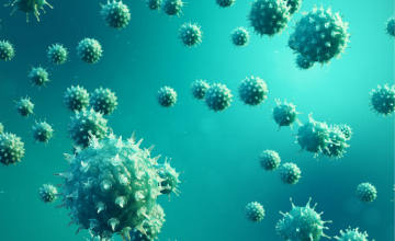 hepatite-et-phytotherapie