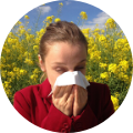 Homéopathie & Allergies