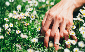 La médecine traditionnelle chinoise pour stimuler la libido