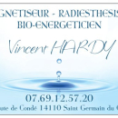 Vincent Hardy