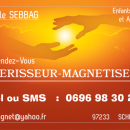Mireille Sebbag-Faba