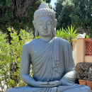 Steven De Jesus Tavares