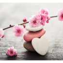 Christelle Brachotte