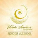 Elodie Stoléar