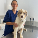 Ingrun de Thoisy