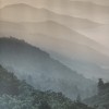 Student's photo