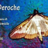 Cécile Deroche