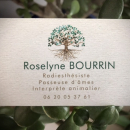 Roselyne Bourrin