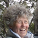 Annie Bohen